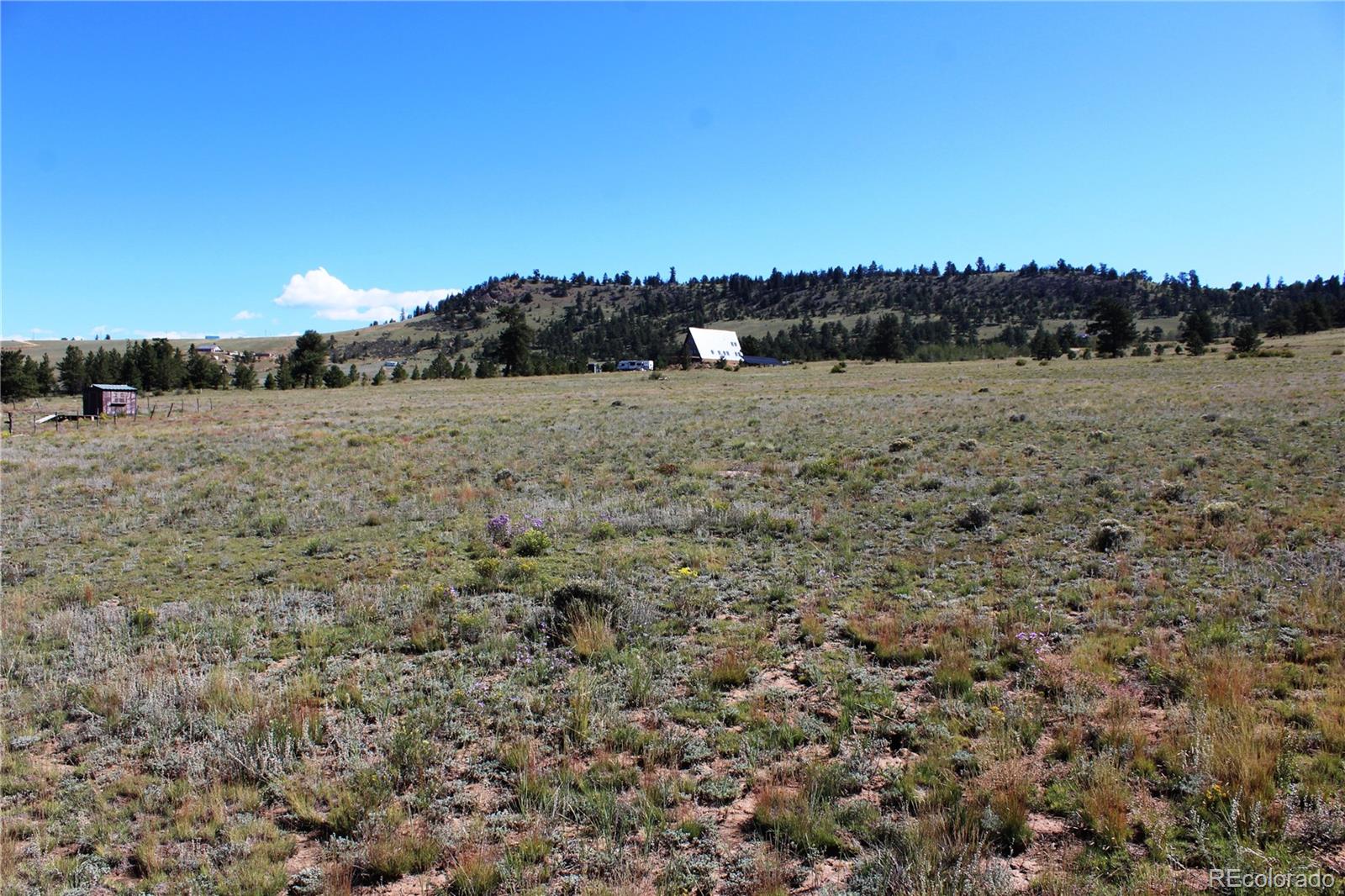 0 Chicksaw Road Hartsel, CO 80449 - Photo 1 of 9 Gallery Image 1