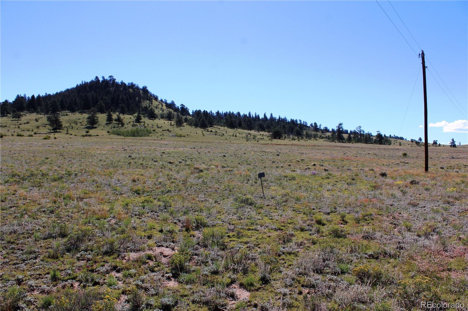 0 Chicksaw Road Hartsel, CO 80449 - Photo 3 of 9 Gallery Image 3