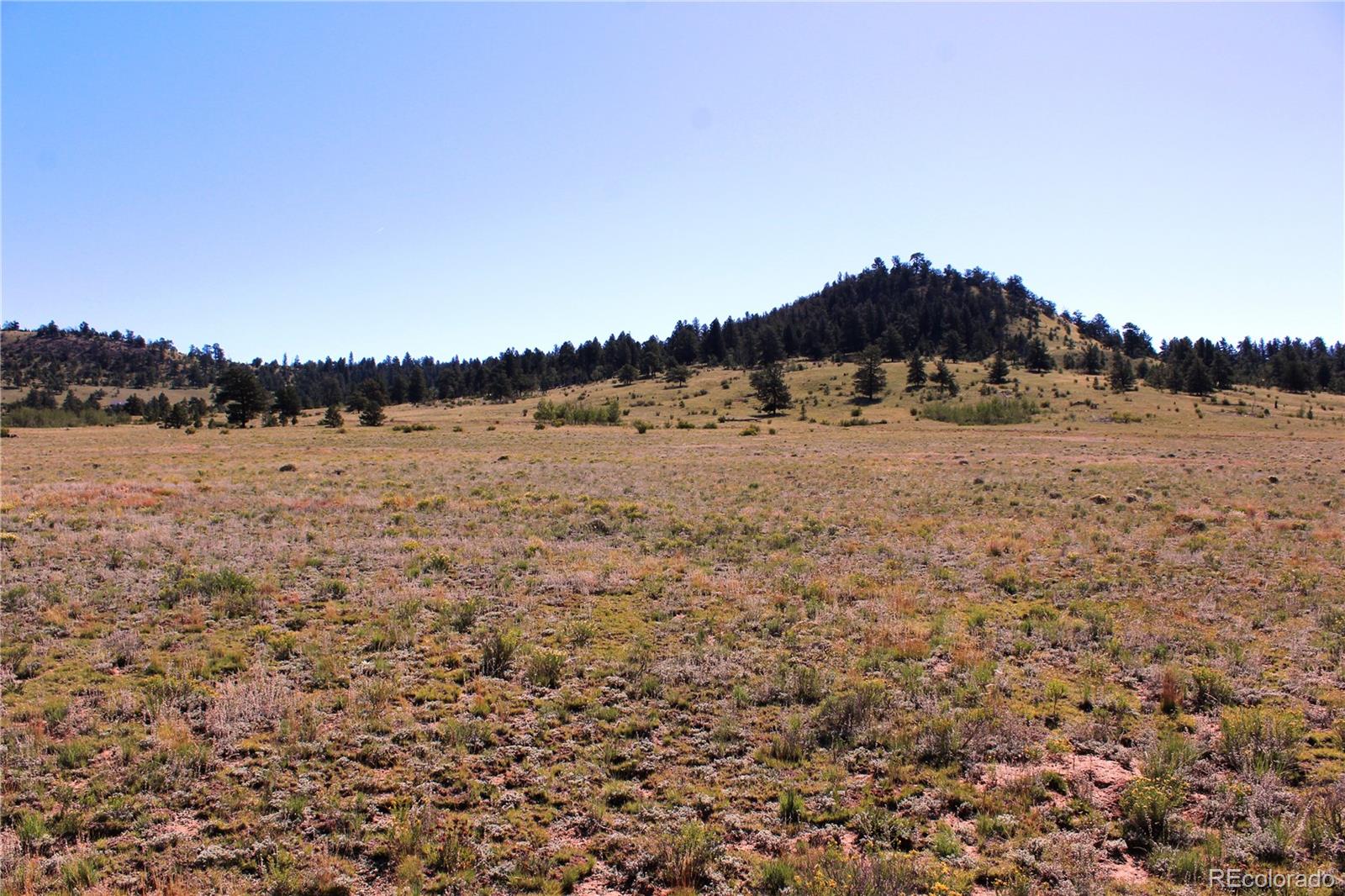 0 Chicksaw Road Hartsel, CO 80449 - Photo 4 of 9 Gallery Image 4
