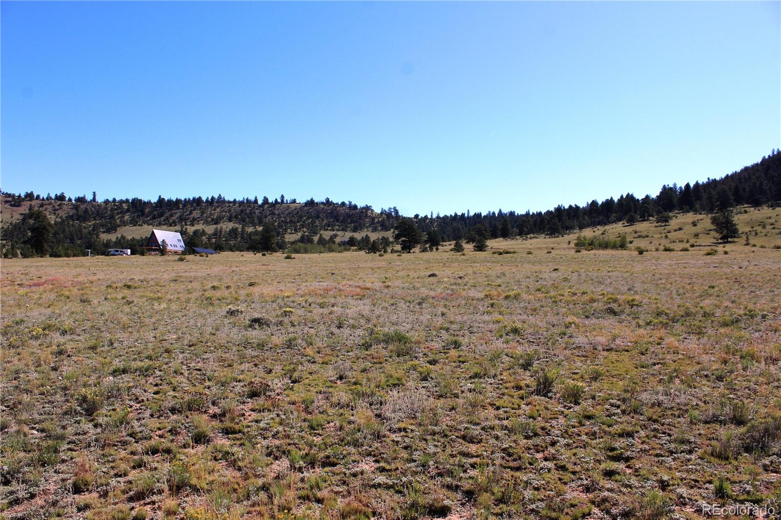 0 Chicksaw Road Hartsel, CO 80449 - Photo 5 of 9 Gallery Image 5