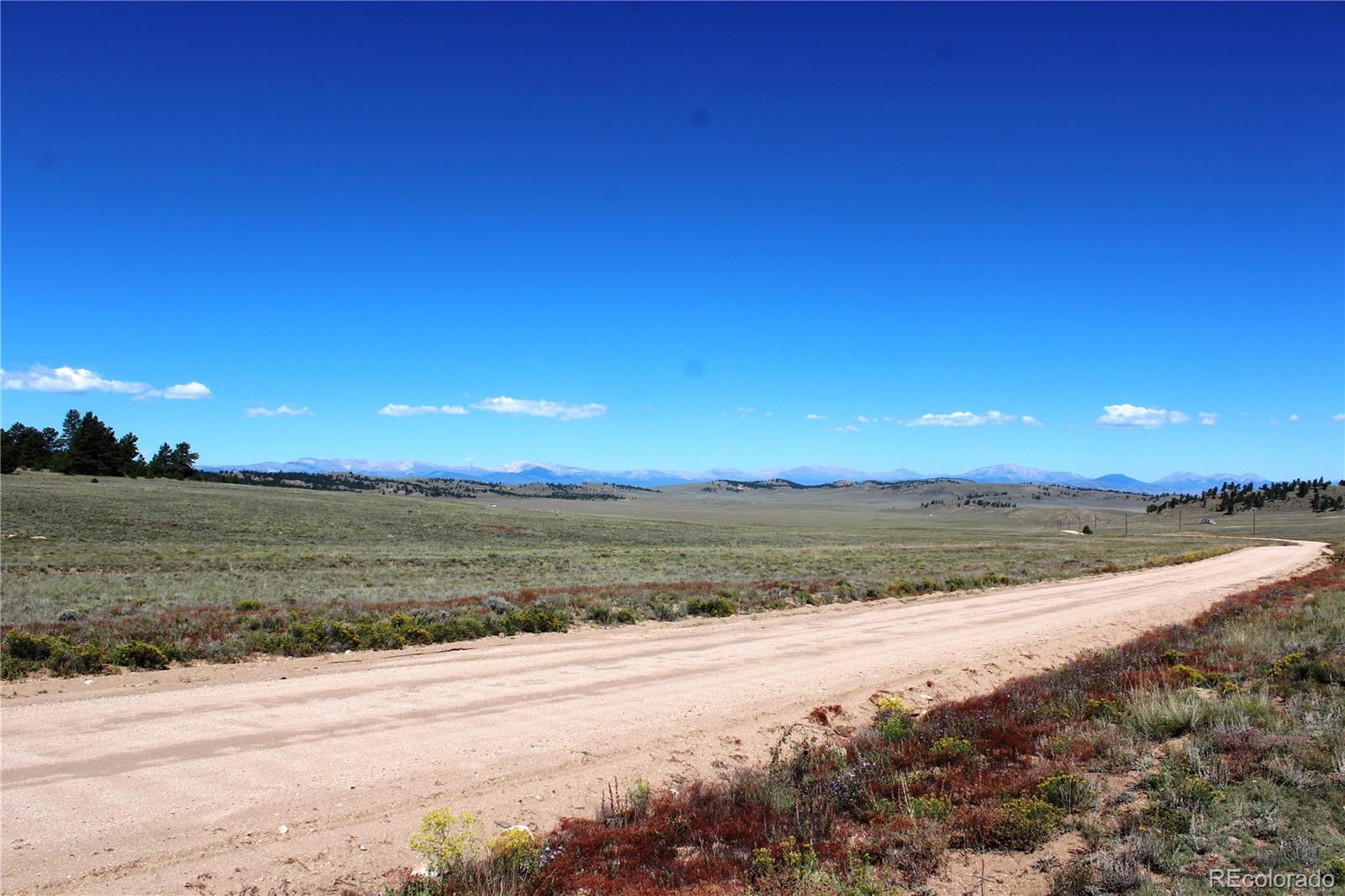 0 Chicksaw Road Hartsel, CO 80449 - Photo 8 of 9 Gallery Image 8