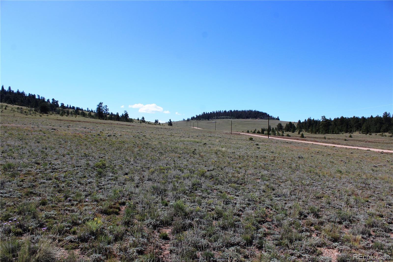 0 Chicksaw Road Hartsel, CO 80449 - Photo 9 of 9 Gallery Image 9