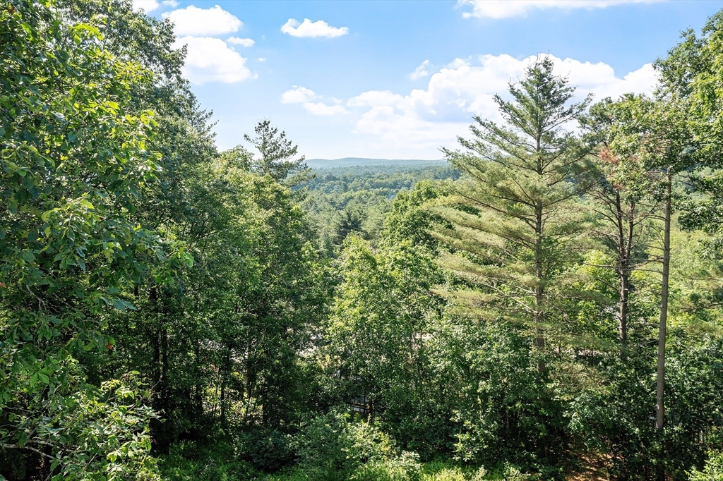 35 Philip Road Athol, MA 01331 - Photo 4 of 37 a view of a green field with lots of bushes