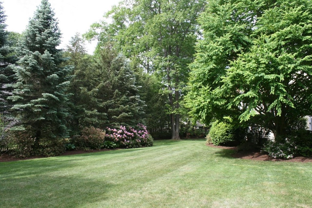 128 Dover Road Wellesley, MA 02482 - Photo 28 of 30 Gallery Image 28