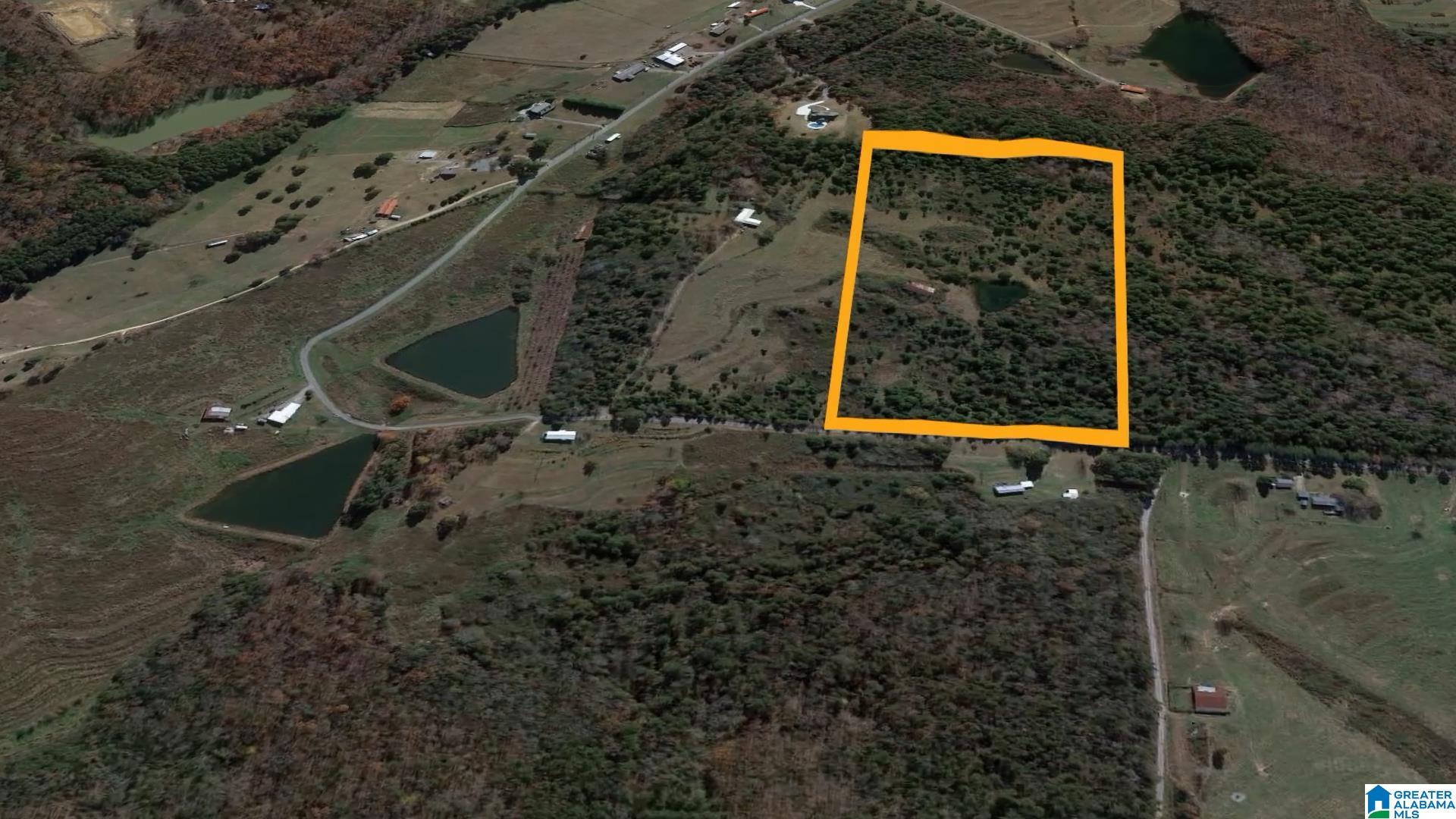 0 Jones Chapel Loop, Unit 20 ACRES Springville, AL 35146 - Photo 3 of 13