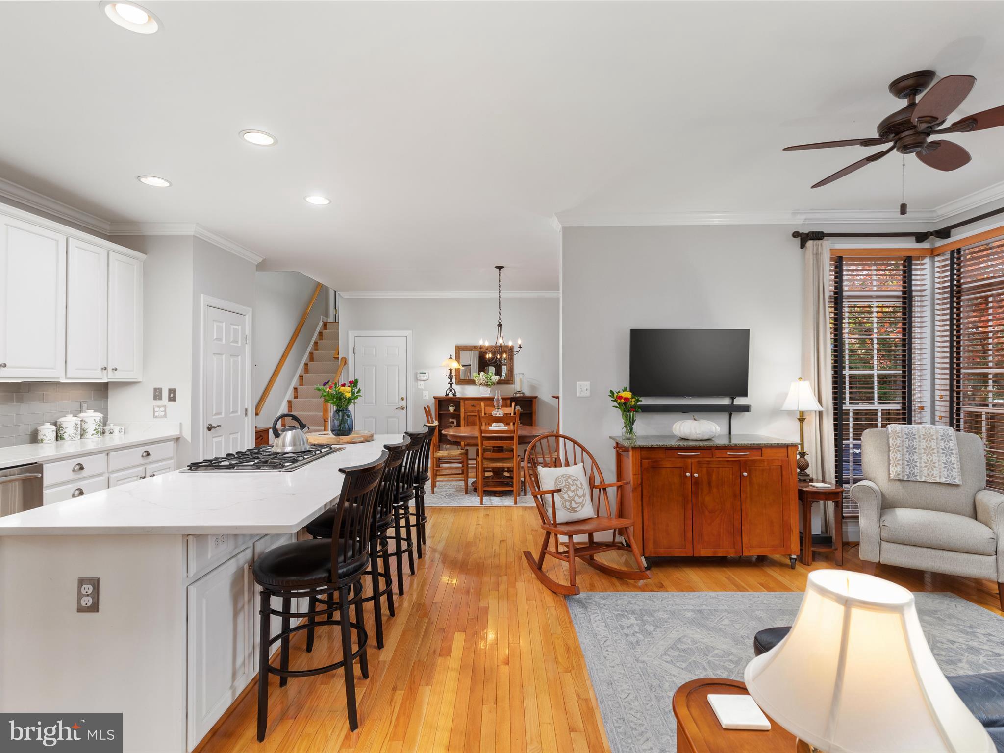 1390 Ingleside Avenue McLean, VA 22101 - Photo 11 of 52 2E6A7963_1390 Ingleside Ave - Absolute Altitude -