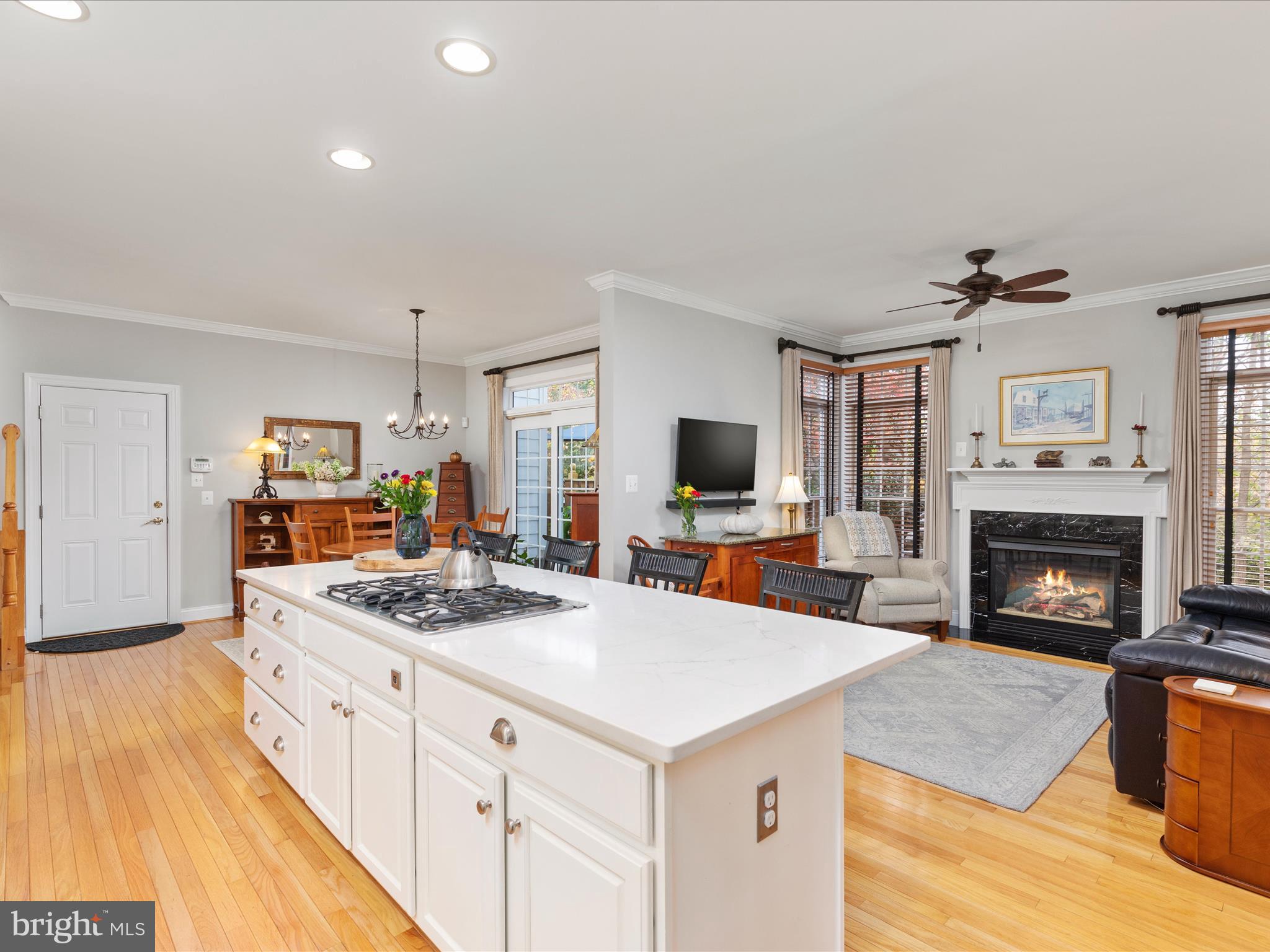 1390 Ingleside Avenue McLean, VA 22101 - Photo 17 of 52 2E6A7996_1390 Ingleside Ave - Absolute Altitude -