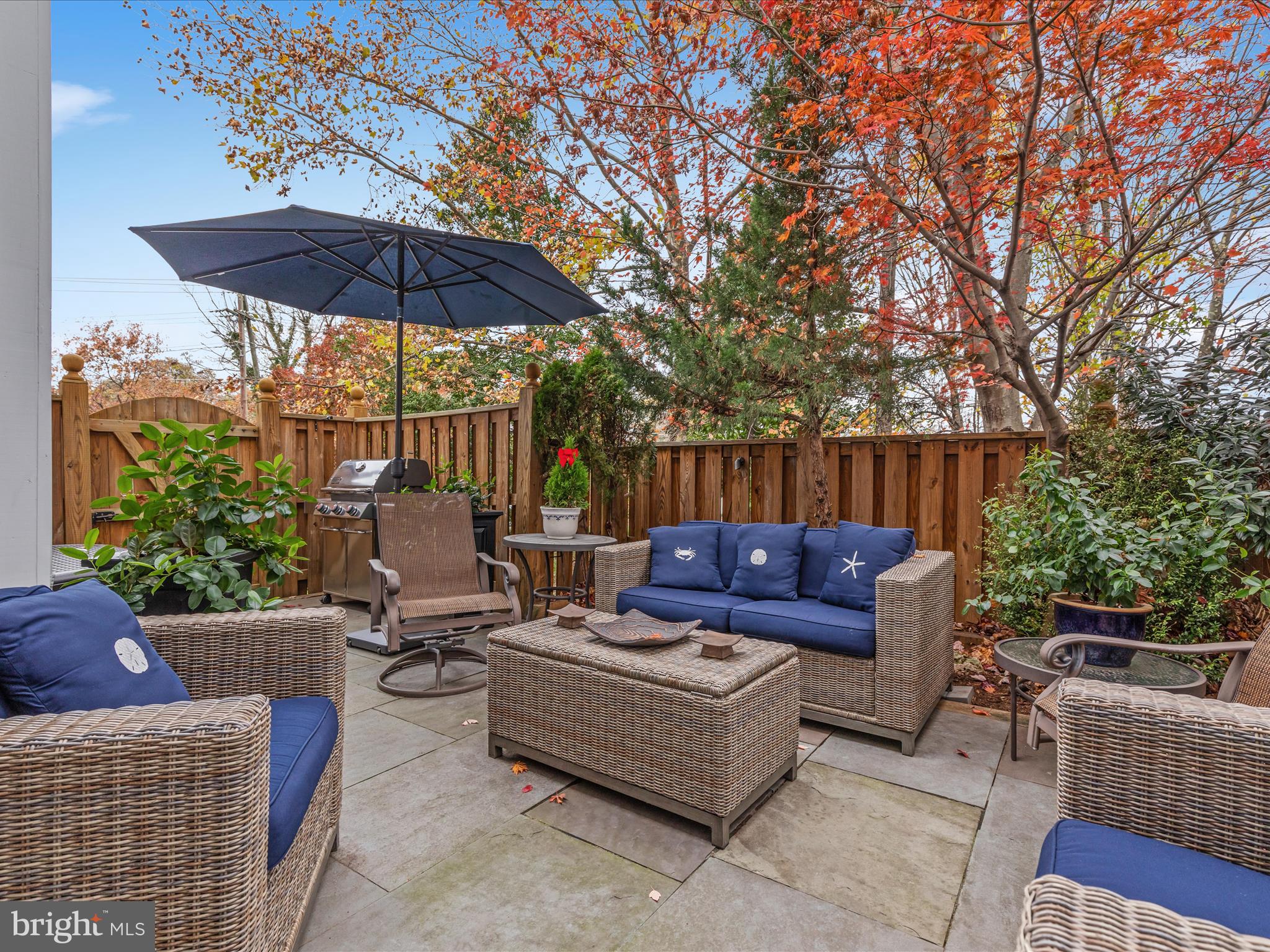 1390 Ingleside Avenue McLean, VA 22101 - Photo 47 of 52 2E6A8017_1390 Ingleside Ave - Absolute Altitude -