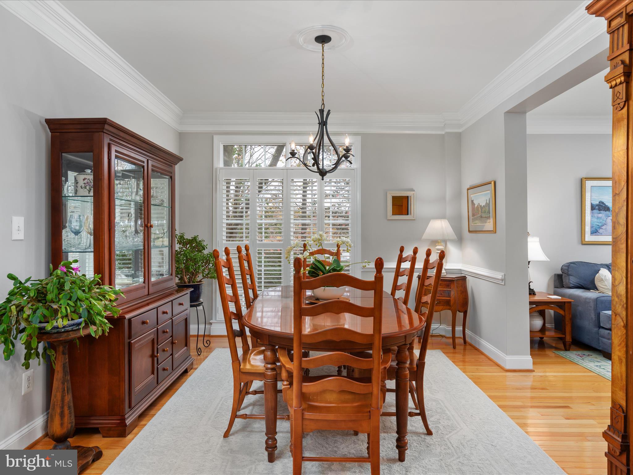 1390 Ingleside Avenue McLean, VA 22101 - Photo 8 of 52 2E6A7948_1390 Ingleside Ave - Absolute Altitude -