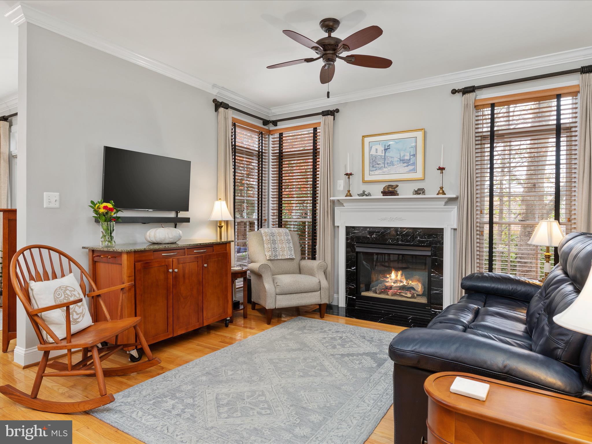 1390 Ingleside Avenue McLean, VA 22101 - Photo 10 of 52 2E6A7972_1390 Ingleside Ave - Absolute Altitude -