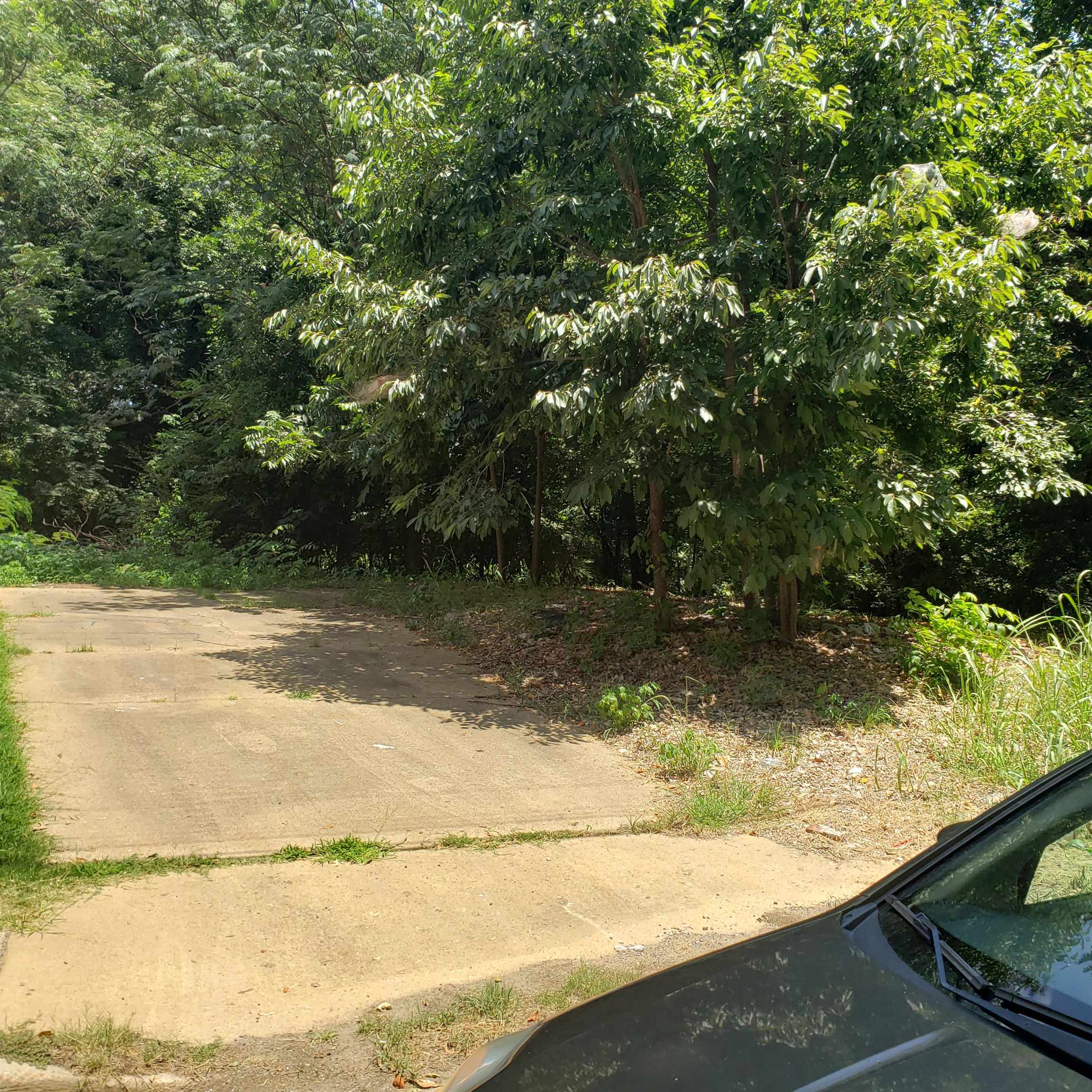 386 Dixie Road Memphis, TN 38109 - Photo 2 of 5 a view of a lake from a yard