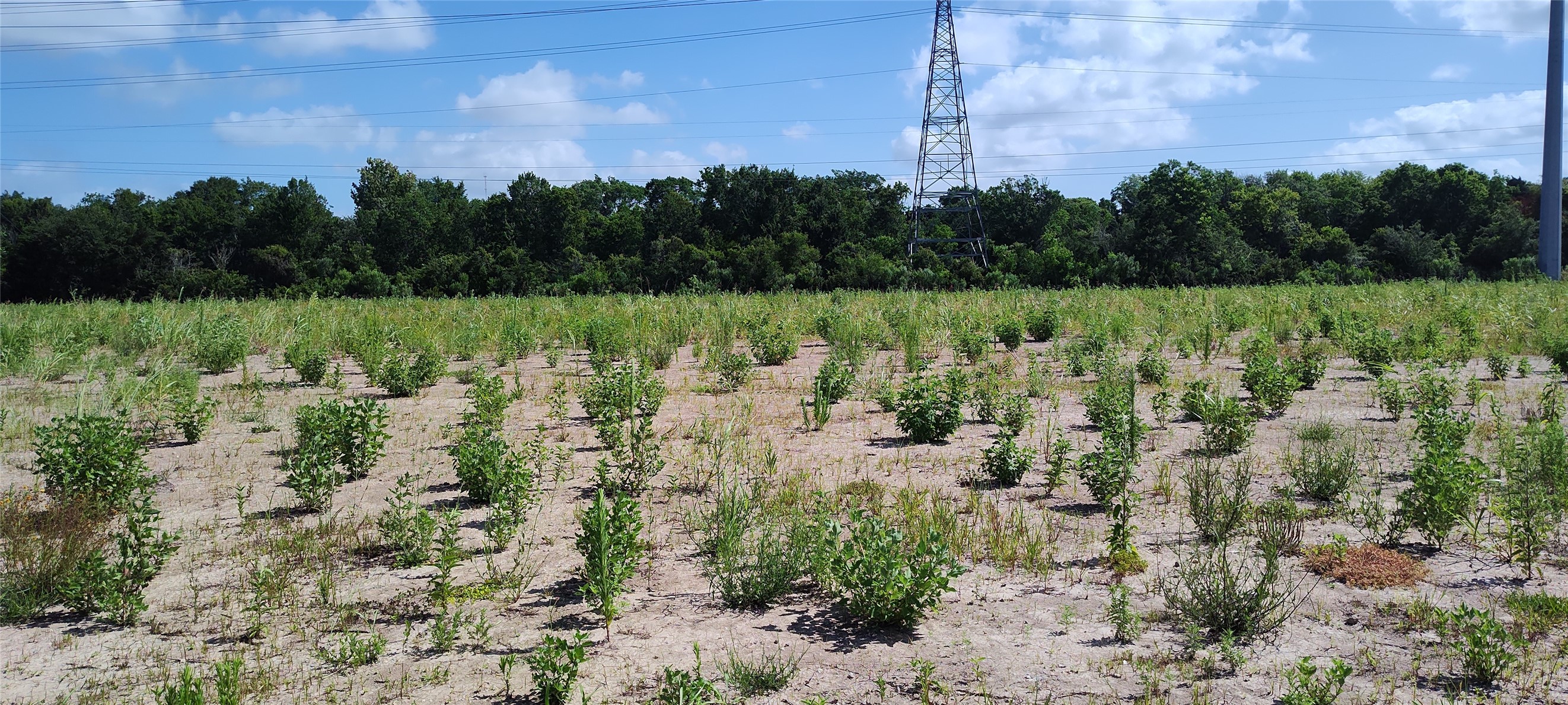 15415 Pinehurst Lane Santa Fe, TX 77517 - Photo 4 of 11 a view of a lake with a mountain in the background