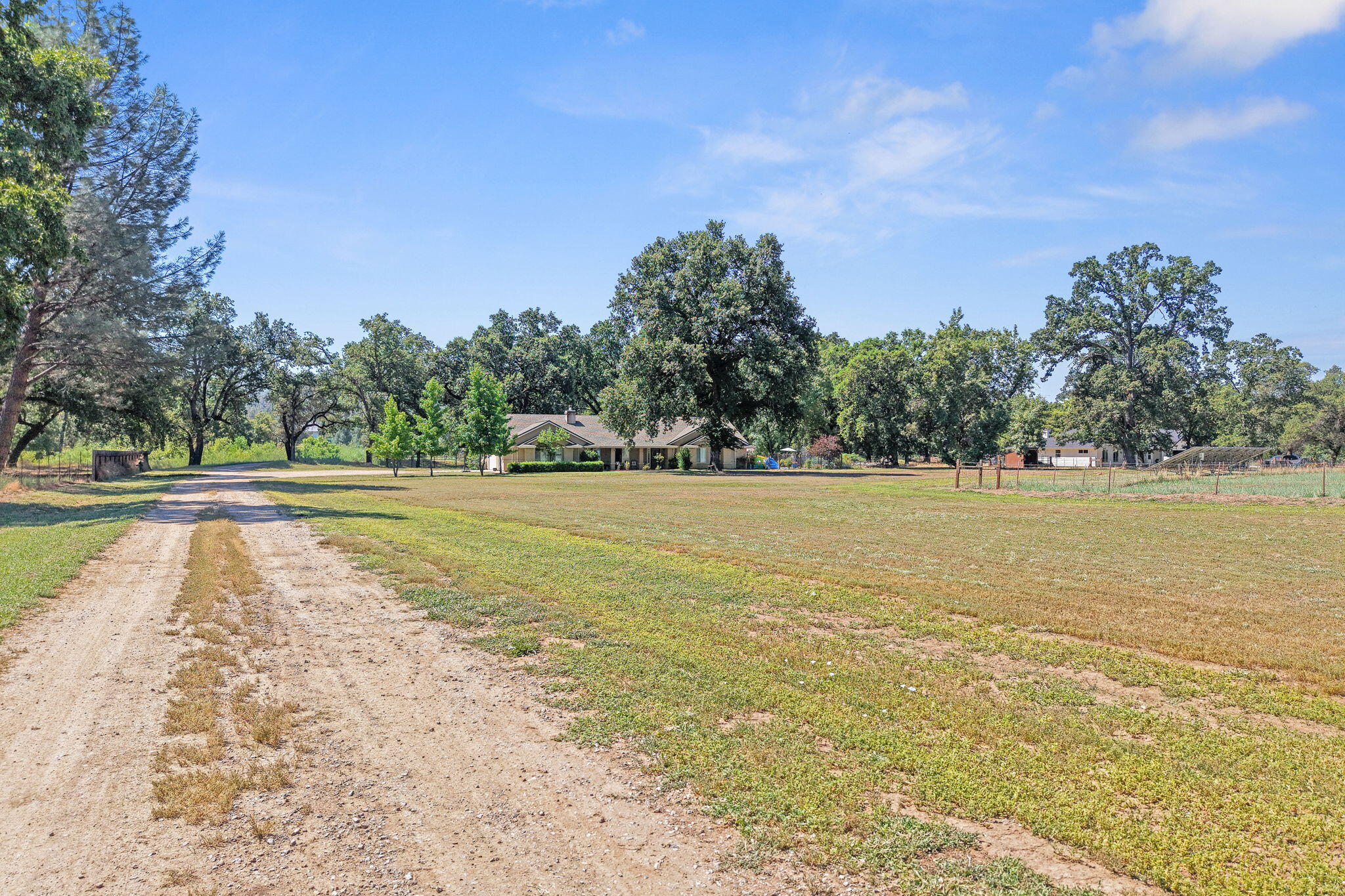 10971 Oak Run Road Oak Run, CA 96069 - Photo 8 of 49 Driveway