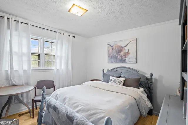 a view of a backyard with plants and large trees