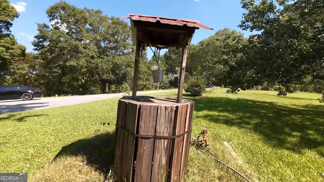 a view of a lush green forest