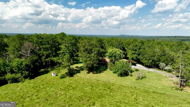 a view of a lush green forest with lots of trees