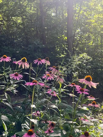 $650,000 | 1546 E Highway, Hartford City, IN 47348