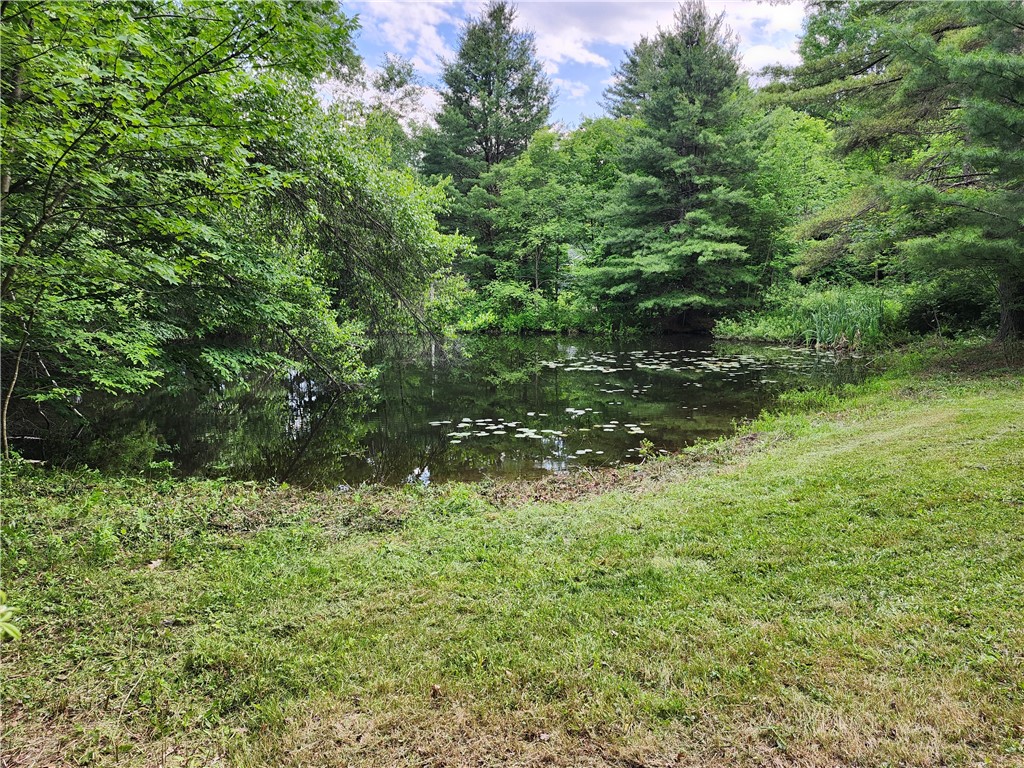 Houck Road Sidney, NY 13838 - Photo 5 of 6