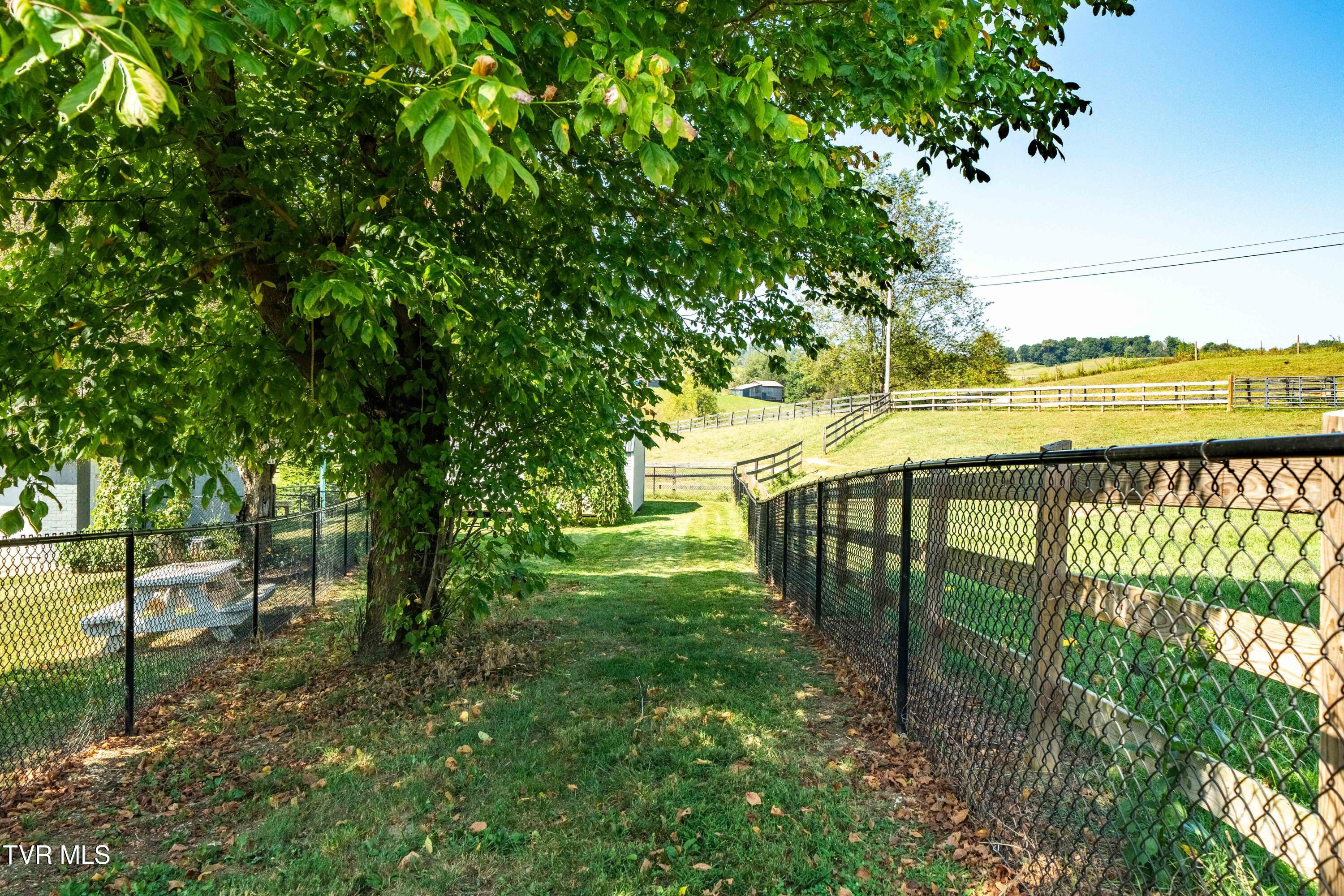 3220 Knob Creek Road Johnson City, TN 37615 - Photo 30 of 110 3220 Knob Creek Rd (20 of 62)