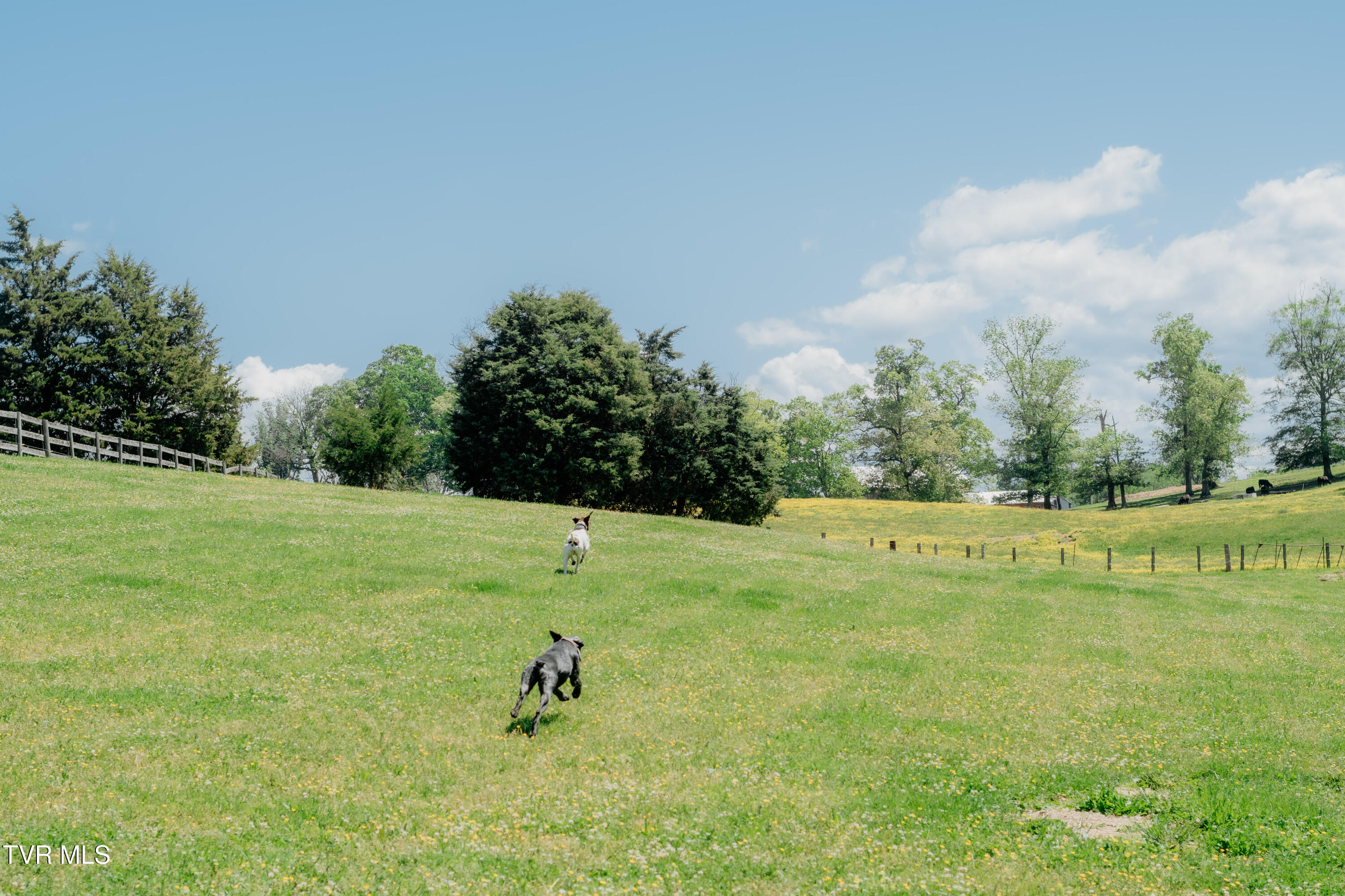 3220 Knob Creek Road Johnson City, TN 37615 - Photo 5 of 110 kcm 5