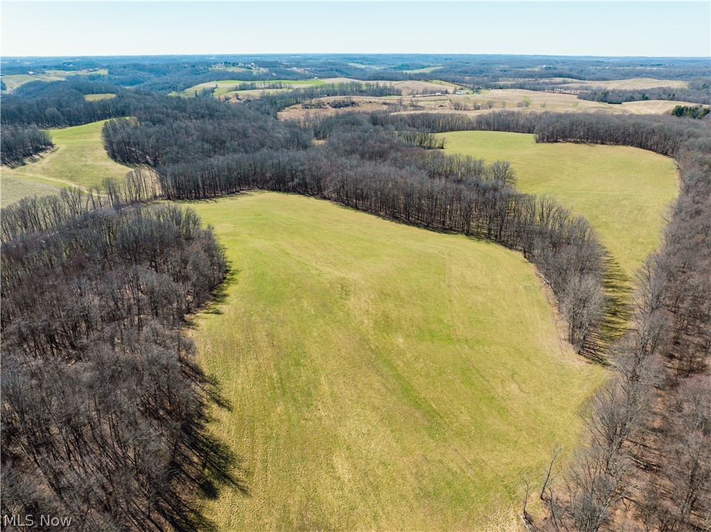 Burrier Road Jewett, OH 43986 - Photo 5 of 7