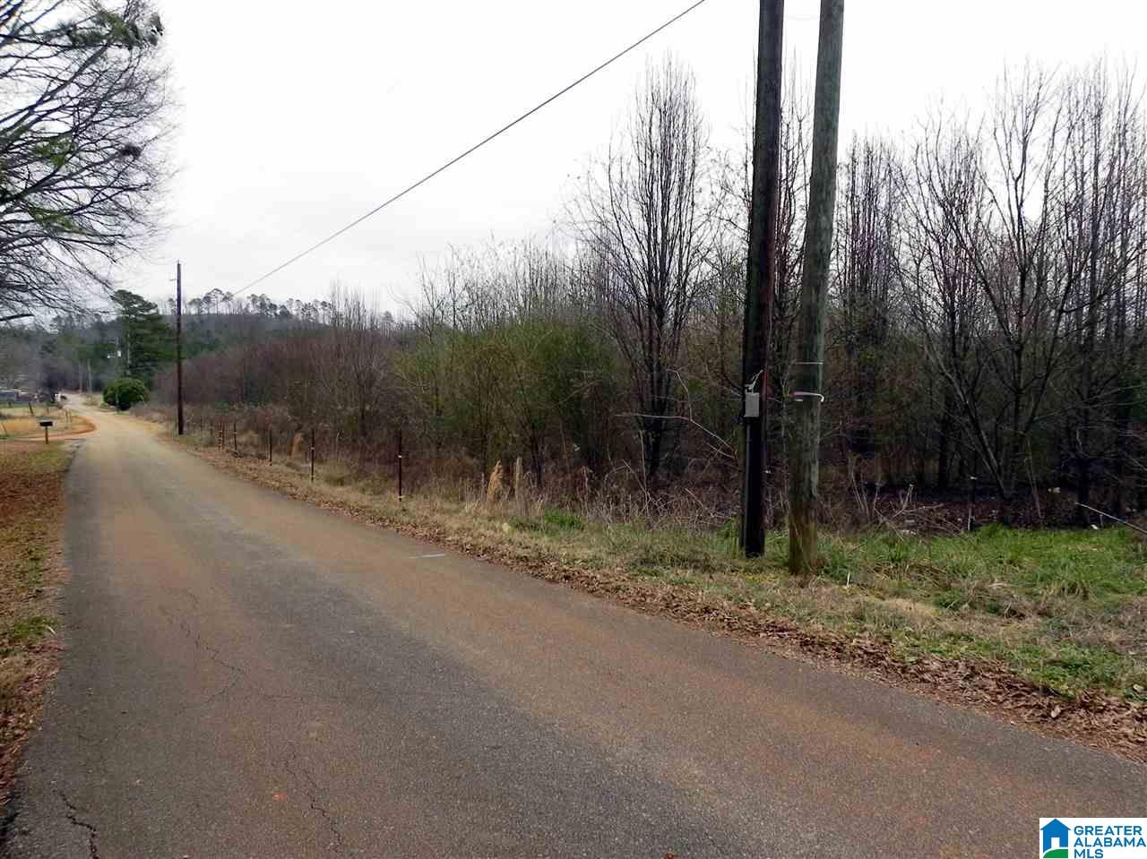 249 Field Street Anniston, AL 36207 - Photo 5 of 13
