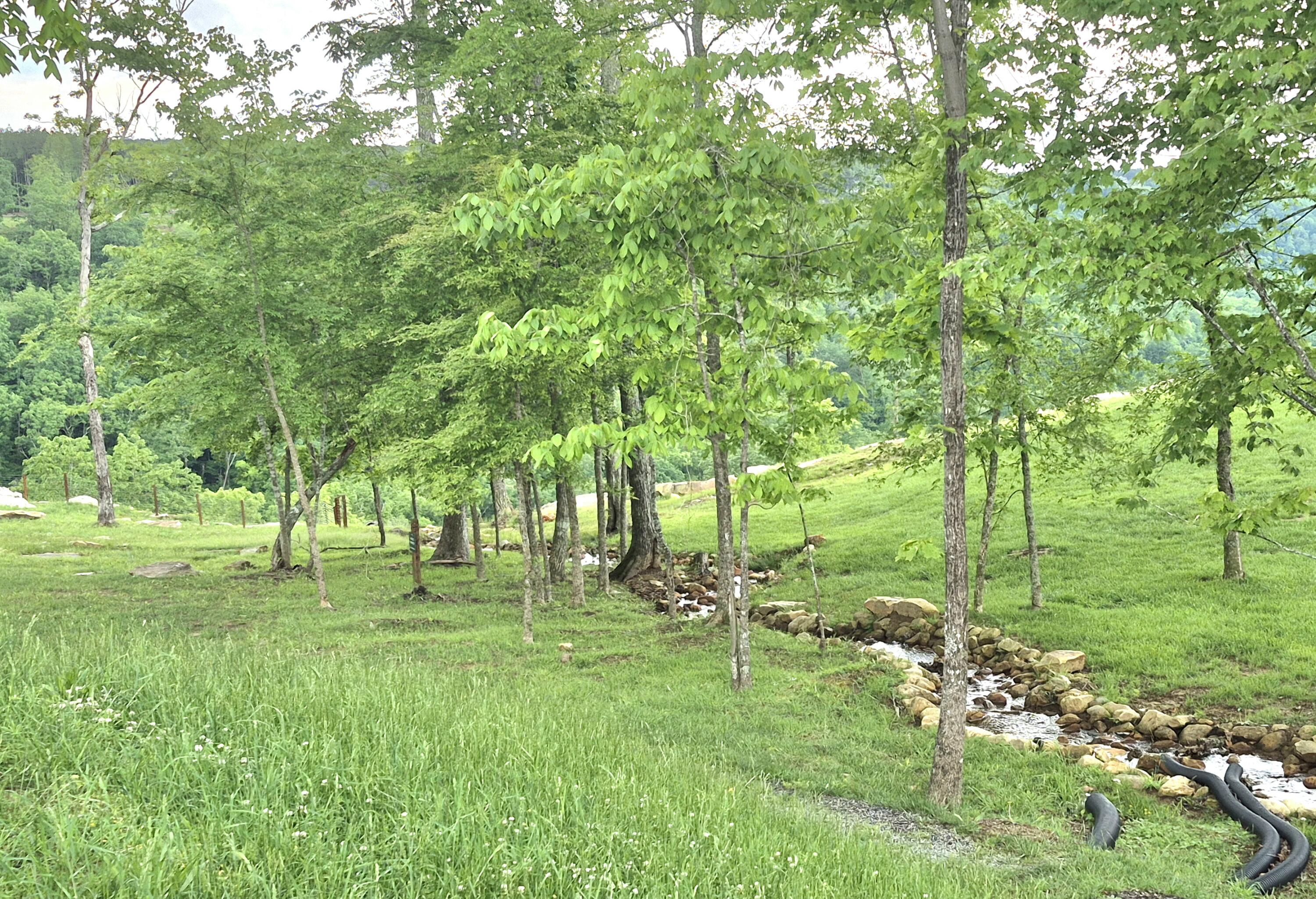 6070 Raulston Falls Drive, Unit LOT 97 Jasper, TN 37347 - Photo 1 of 28 JH-97lotline