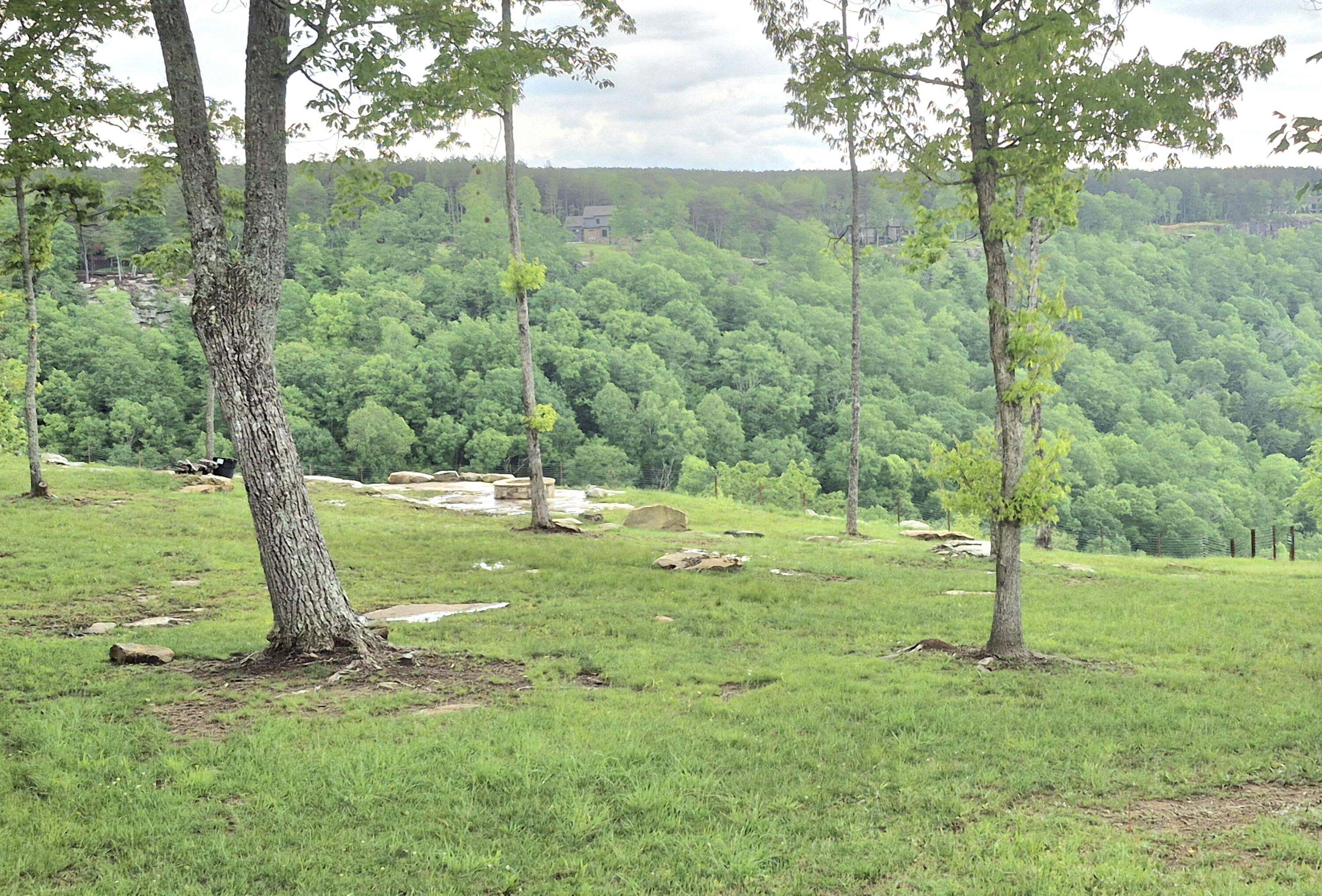 6070 Raulston Falls Drive, Unit LOT 97 Jasper, TN 37347 - Photo 19 of 28 community firepit