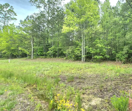 $180,000 | 6070 Raulston Falls Drive, Unit LOT 97, Jasper, TN 37347