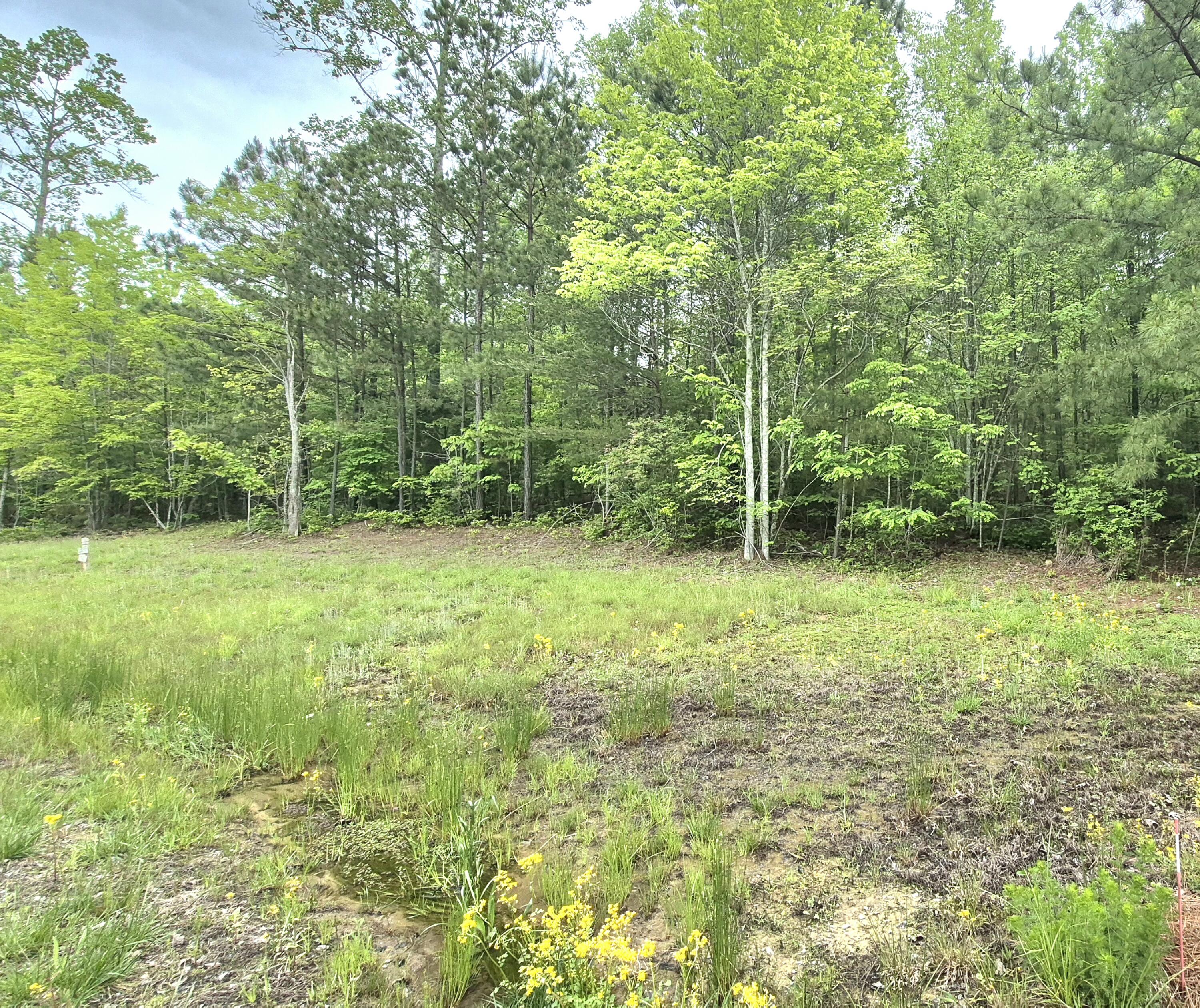 6070 Raulston Falls Drive, Unit LOT 97 Jasper, TN 37347 - Photo 2 of 28 JH-97
