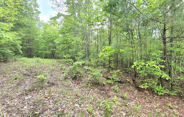 $180,000 | 6070 Raulston Falls Drive, Unit LOT 97, Jasper, TN 37347