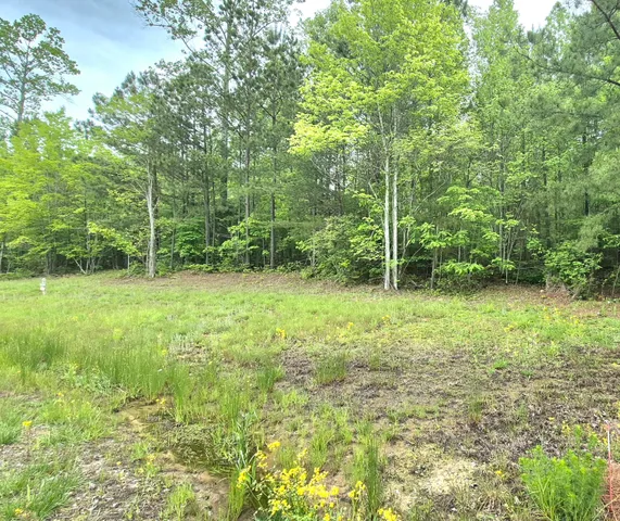 $180,000 | 6070 Raulston Falls Drive, Unit LOT 97, Jasper, TN 37347