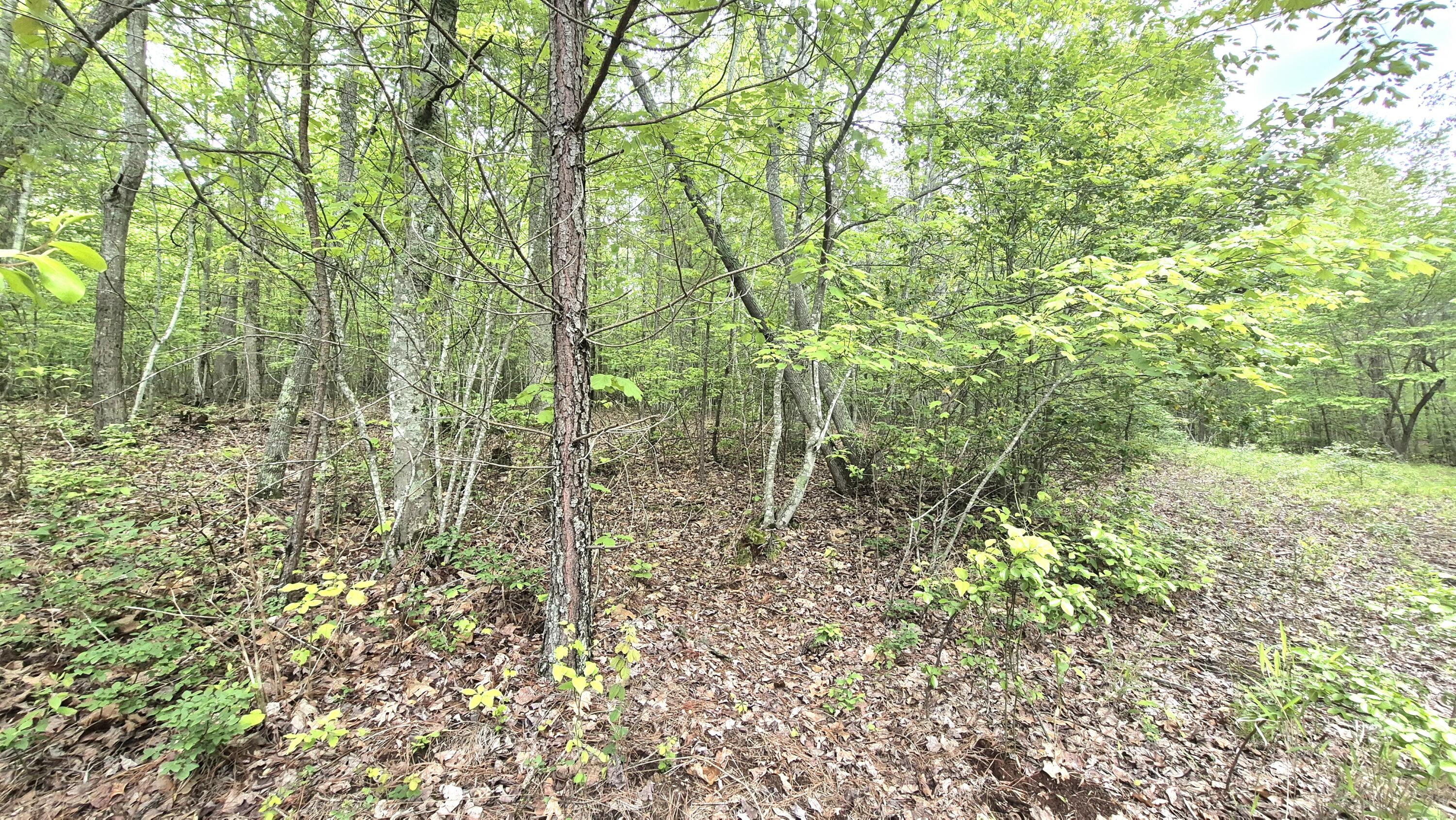 6070 Raulston Falls Drive, Unit LOT 97 Jasper, TN 37347 - Photo 5 of 28 JH-97