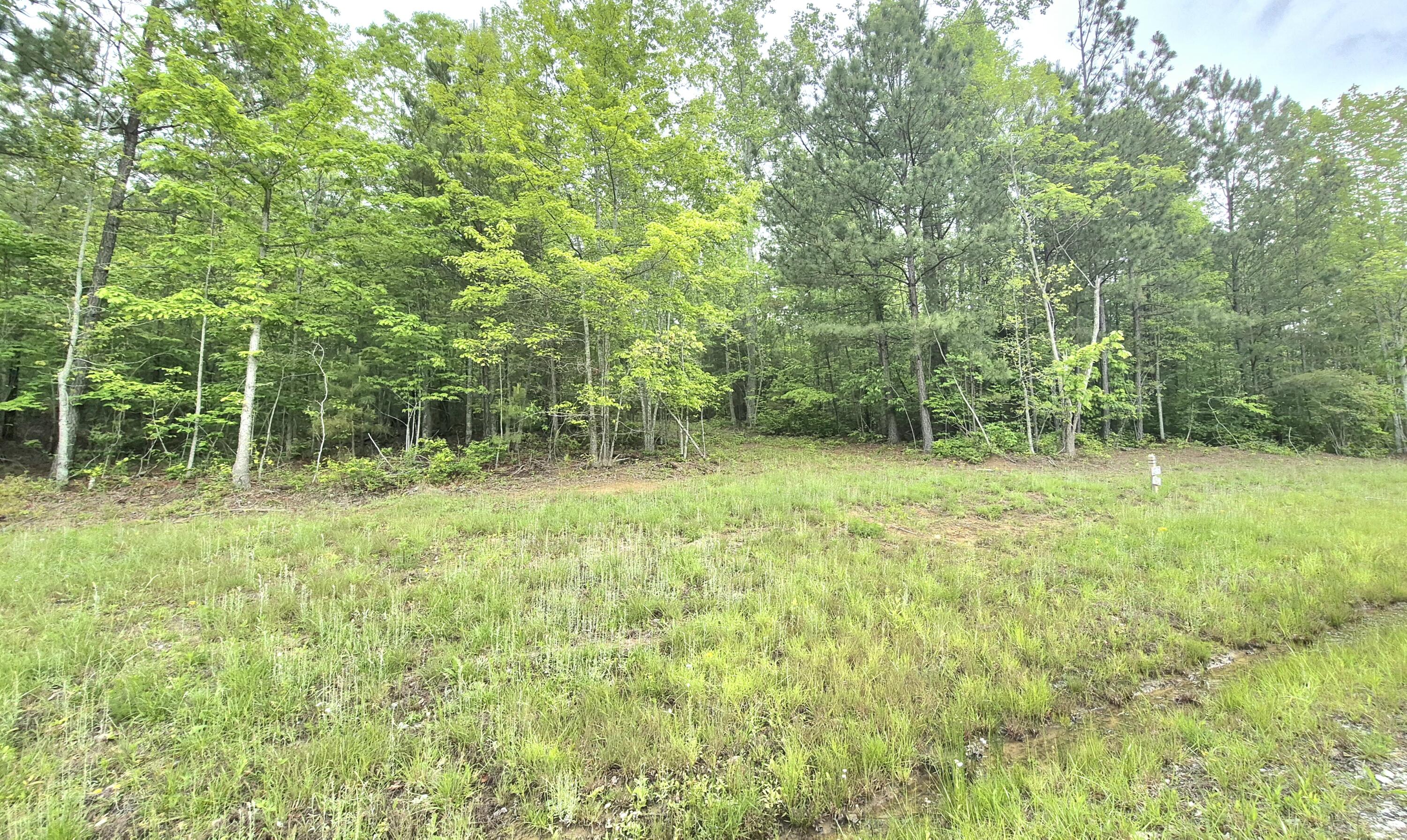 6070 Raulston Falls Drive, Unit LOT 97 Jasper, TN 37347 - Photo 5 of 28 JH-97