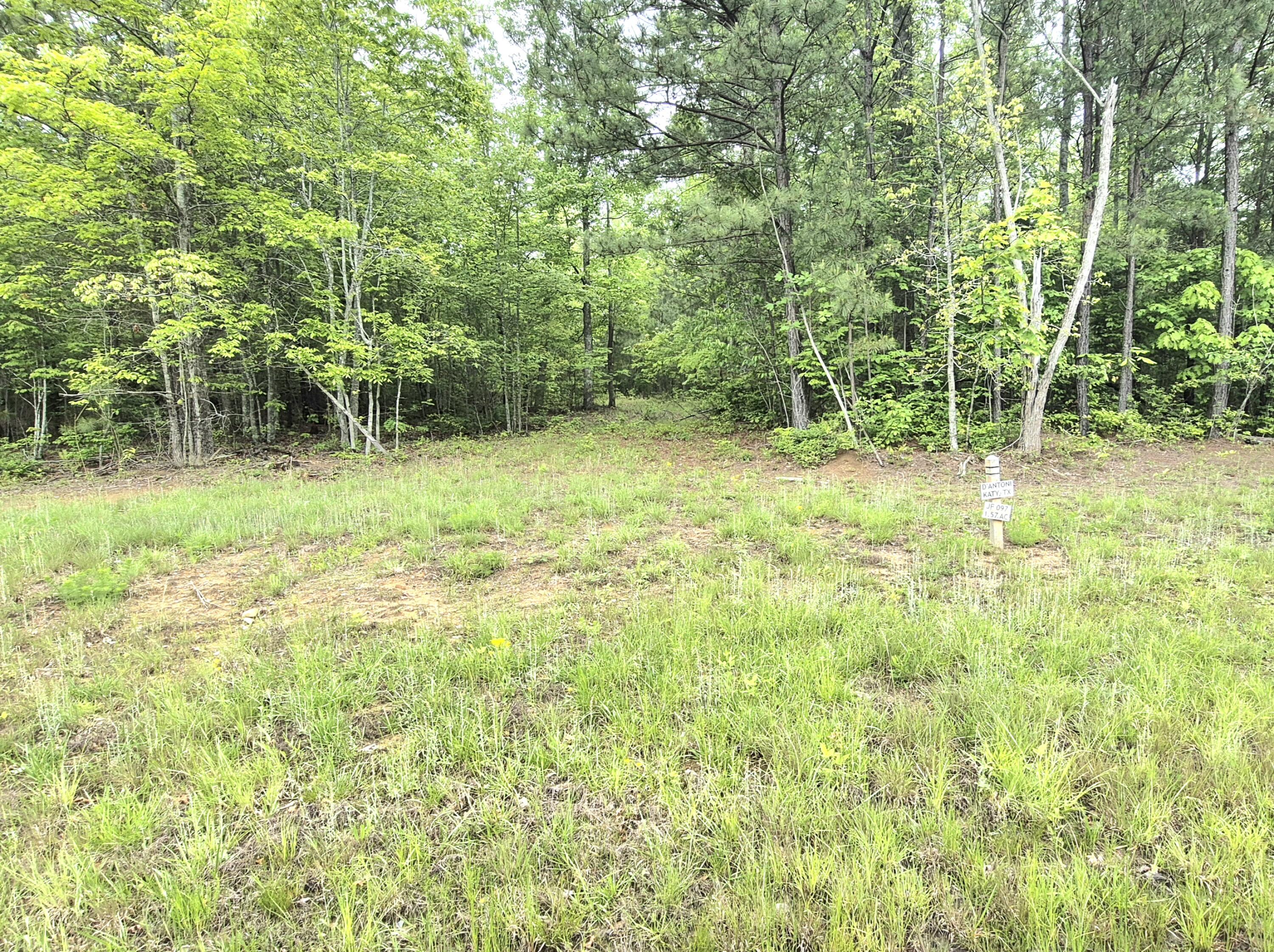 6070 Raulston Falls Drive, Unit LOT 97 Jasper, TN 37347 - Photo 7 of 28 JH-97