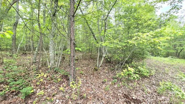 $180,000 | 6070 Raulston Falls Drive, Unit LOT 97, Jasper, TN 37347