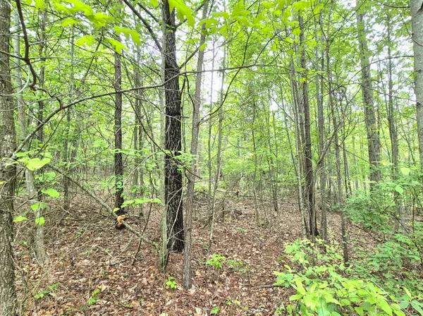 $180,000 | 6070 Raulston Falls Drive, Unit LOT 97, Jasper, TN 37347