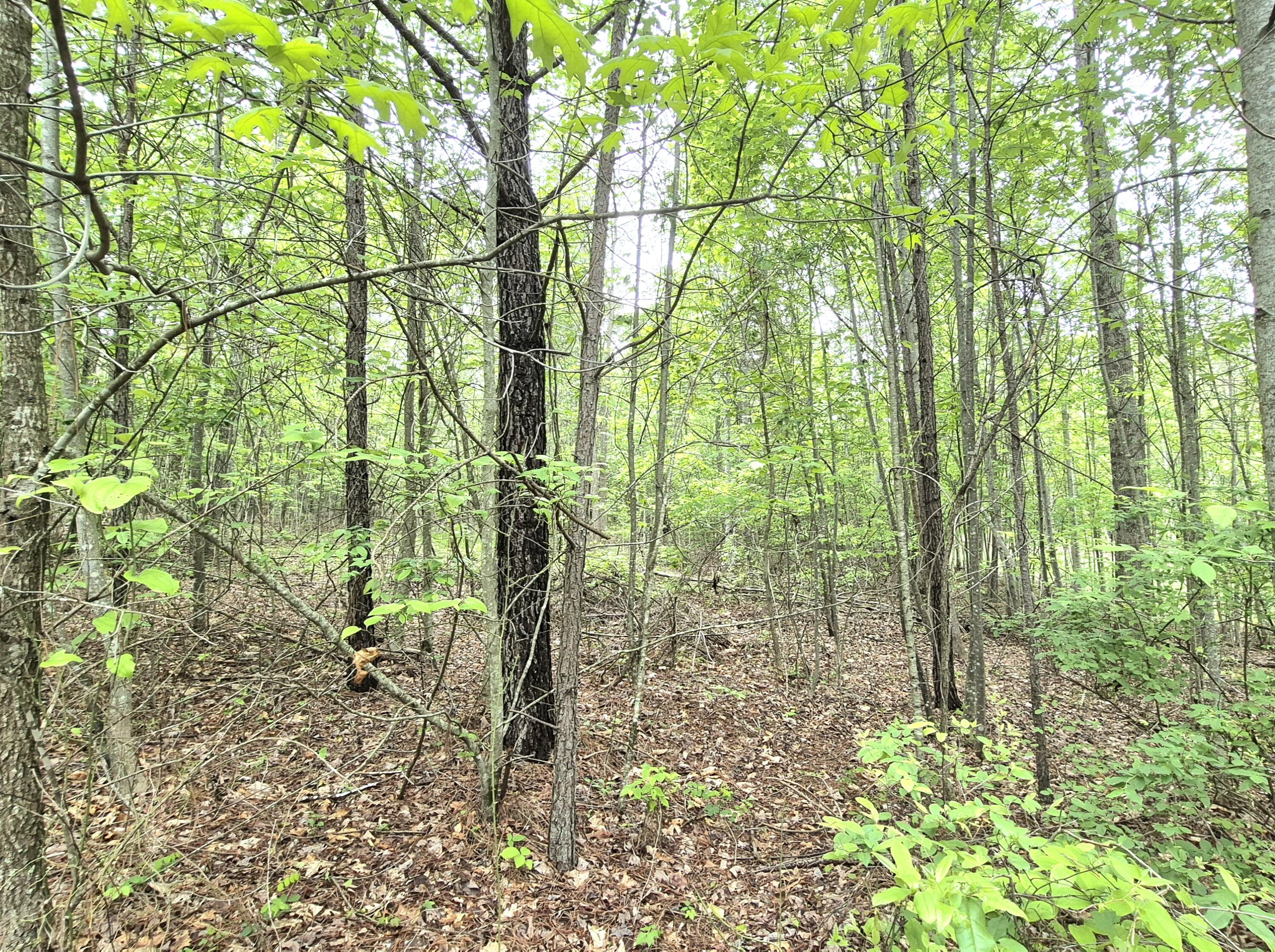 6070 Raulston Falls Drive, Unit LOT 97 Jasper, TN 37347 - Photo 8 of 28 JH-97