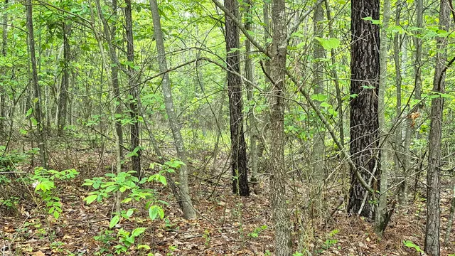 $180,000 | 6070 Raulston Falls Drive, Unit LOT 97, Jasper, TN 37347