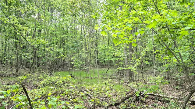 $180,000 | 6070 Raulston Falls Drive, Unit LOT 97, Jasper, TN 37347