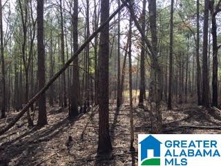 Pioneer Way, Unit 2 Sterrett, AL 35147 - Photo 13 of 24