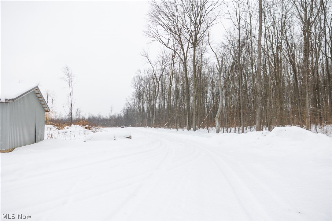 3542 Mann Road Andover, OH 44003 - Photo 25 of 42 View of yard covered in snow