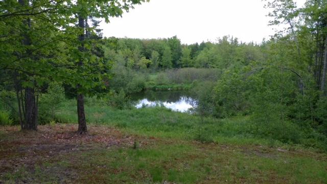880 North Palermo Road Palermo, ME 04354 - Photo 27 of 29 20170604_185052