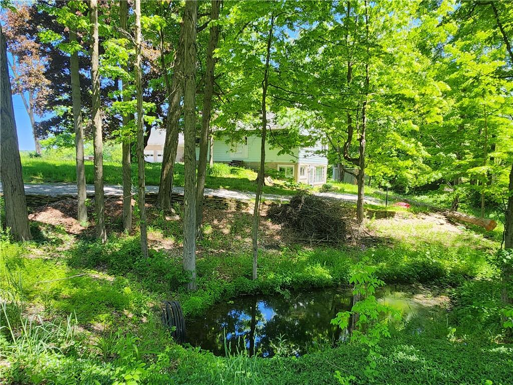 123 Mcelhaney Road Jamestown, PA 16134 - Photo 2 of 30 a view of yard
