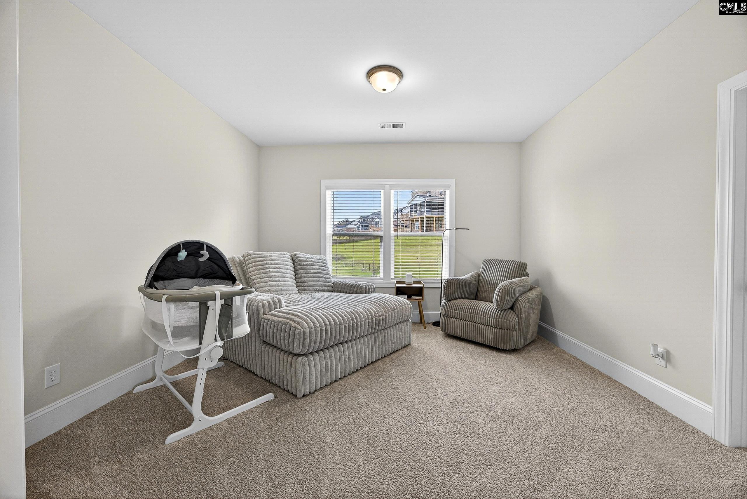3064 White Peach Road Elgin, SC 29045 - Photo 42 of 45 Gallery Image 42