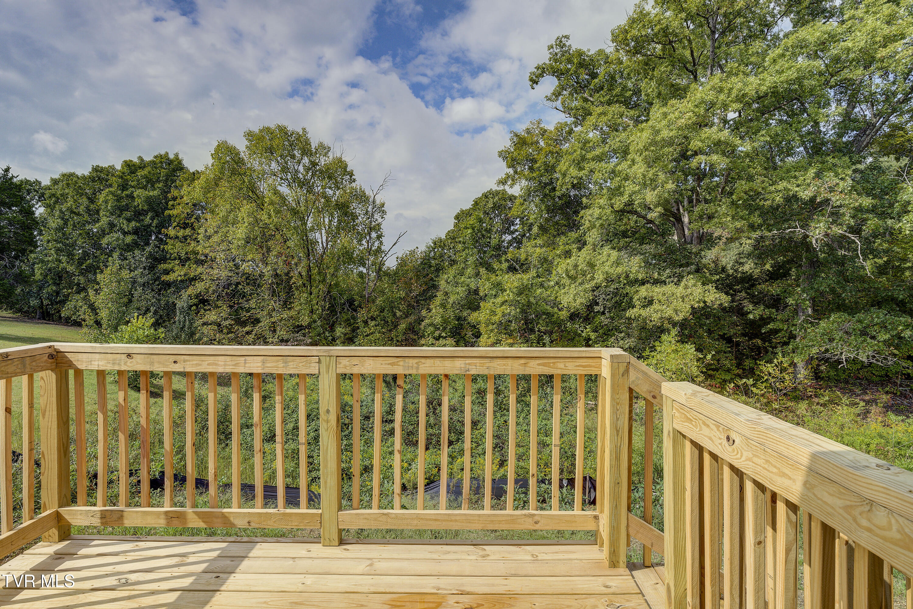 1908 Seaver Road Kingsport, TN 37660 - Photo 31 of 39 Seaver-33
