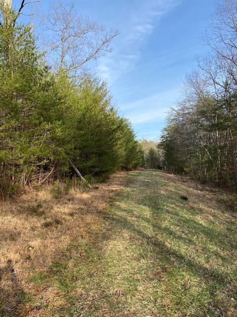 325 Mountain Place Road Dunlap, TN 37327 - Photo 2 of 5 IMG_0050
