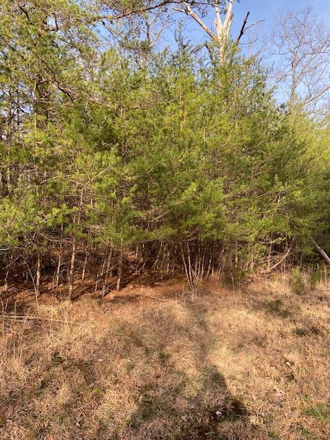 325 Mountain Place Road Dunlap, TN 37327 - Photo 3 of 5 IMG_0051