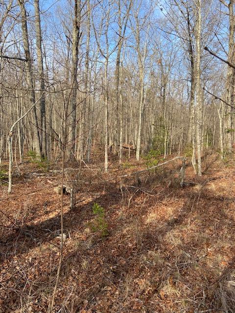 325 Mountain Place Road Dunlap, TN 37327 - Photo 5 of 5 IMG_0053
