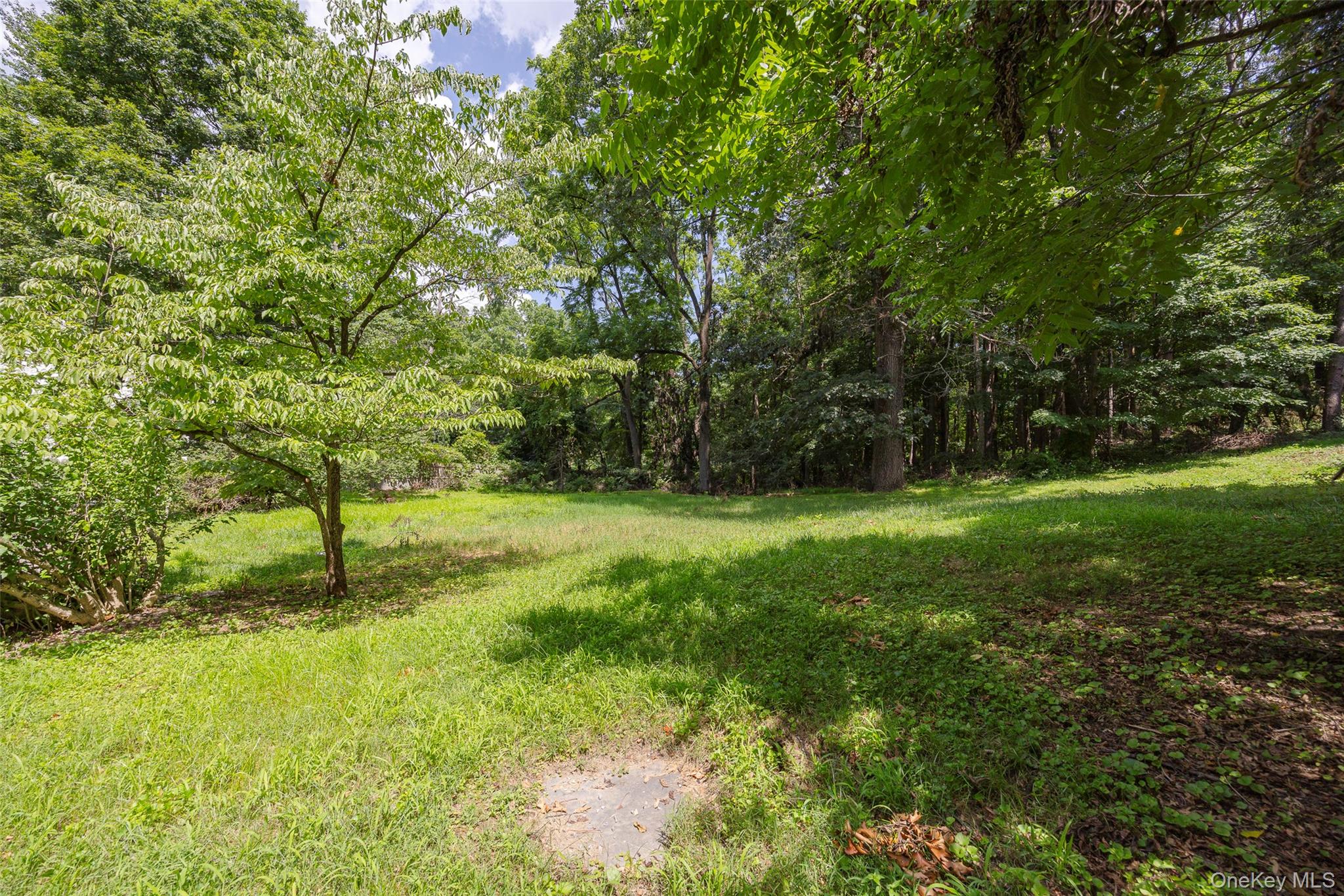 83-85 Old Post Road Staatsburg, NY 12580 - Photo 35 of 36 a big yard with lots of green space and trees